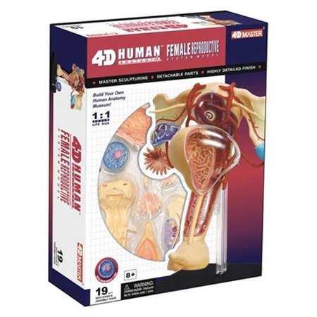 TEDCO TOYS Tedco Toys 26062 4D Human Anatomy Female Reproductive System 26062